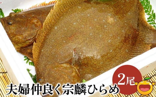 夫婦仲良く宗麟ひらめ ヒラメ 平目 鮃 刺身 刺し身 生魚 新鮮 大分県産 九州産 津久見市 国産