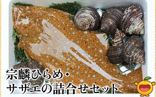 宗麟ひらめ・サザエの詰合せセット ヒラメ 平目 鮃 刺身 刺し身 生魚 新鮮 大分県産 九州産 津久見市 国産