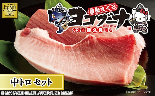 豊後まぐろ ヨコヅーナ刺身用・中トロ 400g 鮪 マグロ 海鮮丼 刺し身 盛り合わせ 冷凍 魚の刺身 大分県産 九州産 津久見市