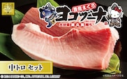 豊後まぐろ ヨコヅーナ刺身用・中トロ 400g 鮪 マグロ 海鮮丼 刺し身 盛り合わせ 冷凍 魚の刺身 大分県産 九州産 津久見市