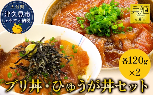 ブリ丼・ひゅうが丼セット 各120g×2 ひろびろいけすぶり 豊後まぐろ ヨコヅーナ 鮪 マグロ 海鮮丼 刺し身 盛り合わせ 冷凍 新鮮 漬け丼 大分県産 九州産 津久見市 国産