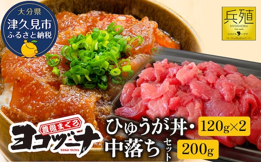 豊後まぐろ ヨコヅーナ 中落ち 200g・ひゅうが丼セット 120g×2 鮪 マグロ 海鮮丼 希少部位 刺し身 盛り合わせ 冷凍 新鮮 漬け丼 大分県産 九州産 津久見市 国産
