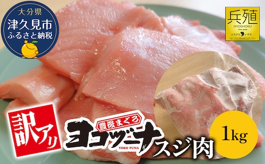 豊後まぐろ ヨコヅーナ 訳あり スジ肉 1kg | 鮪 マグロ 冷凍 大分県 九州 津久見市 国産