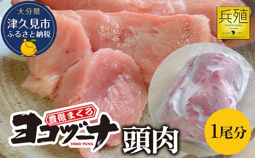 豊後まぐろ ヨコヅーナ 頭肉 1尾分 (4切) | 鮪 マグロ 希少部位 大分県 九州 津久見市 国産