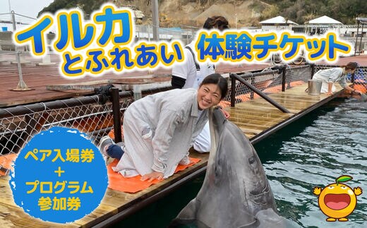 イルカと遊ぼうFor Kids（イルカとふれあい体験チケット）体験チケット レジャーチケット アクティビティ 動物ふれあい 大分県産 九州産 津久見市 熨斗対応