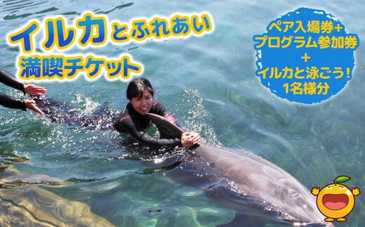 イルカと泳ごう！シングル（イルカとふれあい体験チケット）体験チケット レジャーチケット アクティビティ 動物ふれあい 大分県産 九州産 津久見市 熨斗対応