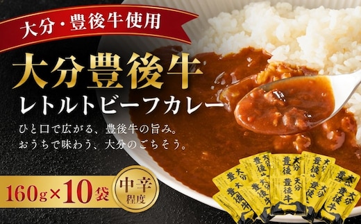 大分豊後牛ビーフカレー 10袋セット | レトルト 和牛 お惣菜 大分県 九州 津久見市 国産
