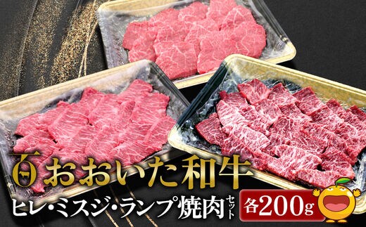 おおいた和牛 ヒレ・ミスジ・ランプ焼肉セット | 牛肉 黒毛和牛 大分県 九州 津久見市 国産