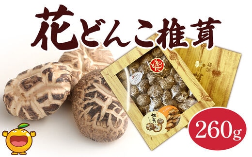 最高級 大分県産 花どんこ椎茸 260g | 山のあわび 乾燥しいたけ 干しシイタケ 野菜 大分県 津久見市 九州 国産