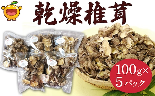 乾燥椎茸 訳あり 椎茸100g×5パック | しいたけ 干しシイタケ 大分県 津久見市 九州 国産