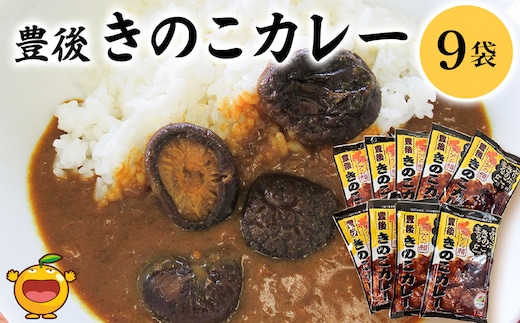 豊後きのこカレー 9袋 レトルトカレー 中辛タイプ 保存食 常温保存 非常食 ご当地カレー 椎茸 お取り寄せ グルメ 大分県産 九州産 津久見市