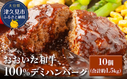 おおいた和牛100% デミハンバーグ 約150g×10個 合計約1.5kg | 牛肉 惣菜 大分県 九州 津久見市 国産