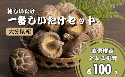 乾しいたけ 一番しいたけセット | 椎茸 シイタケ 津久見市