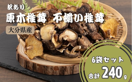 【訳あり】 原木椎茸 不揃い椎茸 6袋セット | 椎茸 シイタケ 津久見市