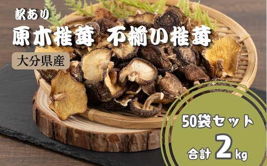 【訳あり】 原木椎茸 不揃い椎茸 50袋セット | 椎茸 シイタケ 津久見市