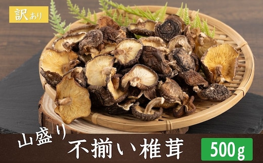 【訳あり】 山盛り 不揃い 椎茸 500g | しいたけ シイタケ 津久見市