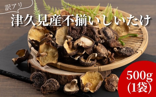 【訳あり】 津久見産不揃いしいたけ 500g | しいたけ シイタケ 津久見市