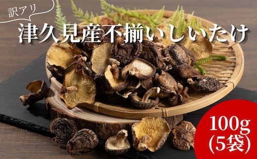 【訳あり】 津久見産不揃いしいたけ 100g×5袋 | しいたけ シイタケ 津久見市