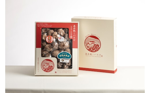 進物どんこ 300g | しいたけ シイタケ 津久見市