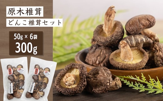 津久見産原木どんこ椎茸 50g×6袋