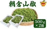 数量限定！朝倉山椒 500ｇ×2箱 生山椒 枝付き さんしょう サンショウ 花椒 ホアジャオ スパイス 調味料 大分県産 九州産 津久見市 国産