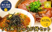 ブリ丼・ひゅうが丼セット 各120g×2 ひろびろいけすぶり 豊後まぐろ ヨコヅーナ  鮪 マグロ 海鮮丼 刺し身 盛り合わせ 冷凍 新鮮 漬け丼 大分県産 九州産 津久見市 国産