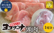 豊後まぐろ ヨコヅーナ 頭肉 1尾分 (4切) | 鮪 マグロ 希少部位 大分県 九州 津久見市 国産