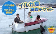イルカとふれあうFor family（イルカ島満喫チケット）水族館 体験チケット レジャーチケット アクティビティ 動物ふれあい 大分県産 九州産 津久見市 熨斗対応