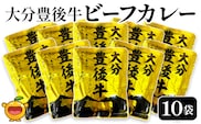 大分豊後牛ビーフカレー 10袋セット | レトルト 和牛 お惣菜 大分県 九州 津久見市 国産