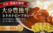 大分豊後牛ビーフカレー 10袋セット | レトルト 和牛 お惣菜 大分県 九州 津久見市 国産