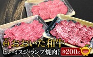 おおいた和牛 ヒレ・ミスジ・ランプ焼肉セット | 牛肉 黒毛和牛 大分県 九州 津久見市 国産