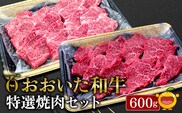 おおいた和牛 特選焼肉セット 600g(赤身焼肉300g  カルビ300g)牛肉 和牛 ブランド牛 黒毛和牛 赤身肉 カルビ 焼き肉 焼肉 バーベキュー 大分県産 九州産 津久見市 熨斗対応