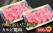 おおいた和牛 カルビ焼肉 600g 牛肉 和牛 ブランド牛 黒毛和牛 赤身肉 焼き肉 焼肉 バーベキュー 大分県産 九州産 津久見市 熨斗対応　