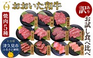 【訳あり】おおいた和牛 お試し食べ比べ 焼肉5種セット(合計3050g) 牛肉 和牛 ブランド牛 赤身肉 焼き肉 焼肉 バーベキュー 大分県産 九州産 津久見市 国産 送料無料