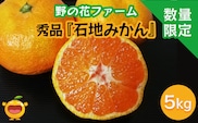 【先行予約】秀品 石地みかん 5kg | ミカン 蜜柑 果物 くだもの 大分県 九州 津久見市 国産