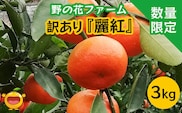 【先行予約】訳あり 麗紅 3kg | みかん ミカン 蜜柑 果物 フルーツ 大分県 九州 津久見市 国産