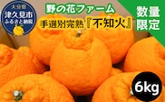 【先行予約】不知火 6kg 手選別完熟 | みかん ミカン オレンジ 果物 大分県 九州 津久見市 国産