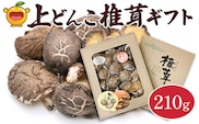 乾燥椎茸 上どんこ椎茸ギフト 210g | しいたけ 干しシイタケ 野菜 大分県 津久見市 九州 国産