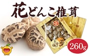最高級 大分県産 花どんこ椎茸 260g | 山のあわび 乾燥しいたけ 干しシイタケ 野菜 大分県 津久見市 九州 国産