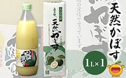【果汁100％】 天然かぼす果汁 1L×1本 | カボス ポン酢 調味料 ストレート 大分県 九州 津久見市 国産