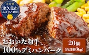 おおいた和牛100% デミハンバーグ 約150g×20個 合計約3kg | 牛肉 惣菜 冷凍 大分県 九州 津久見市 国産
