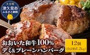 おおいた和牛100% デミ＆プレーンハンバーグ 12個 合計約1.2kg | 牛肉 惣菜 大分県 九州 津久見市 国産