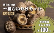 乾しいたけ 一番しいたけセット | 椎茸 シイタケ 津久見市
