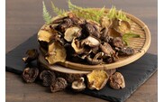 【訳あり】 原木椎茸 不揃い椎茸 10袋セット | 椎茸 シイタケ 津久見市