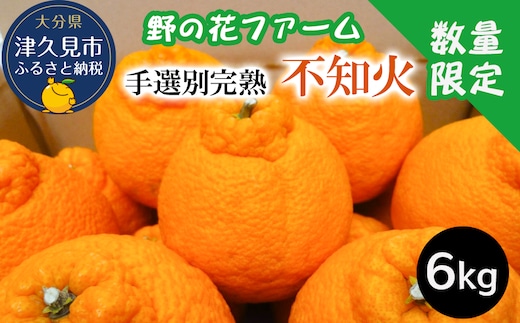 【先行予約・数量限定】野の花ファーム 不知火 6kg 手選別完熟 | みかん ミカン オレンジ 果物 大分県 九州 津久見市 国産