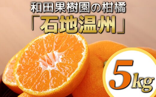 日本において販売 和田果樹園の果物 10kg - 食品