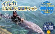 イルカと泳ごう！シングル（イルカとふれあい体験チケット）体験チケット レジャーチケット アクティビティ 動物ふれあい 大分県産 九州産 津久見市 熨斗対応