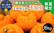 不知火 6kg 手選別完熟 | みかん ミカン オレンジ 果物 大分県 九州 津久見市 国産