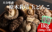 原木栽培 上どんこ 1kg (500g×2袋) | しいたけ シイタケ 津久見市
