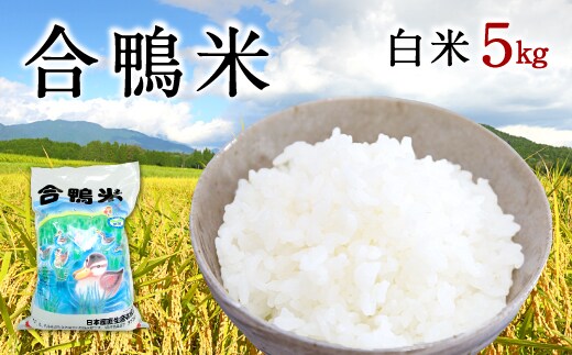 〈令和7年産〉合鴨米 白米 5kg【2025年10月上旬~2026年10月上旬発送予定】